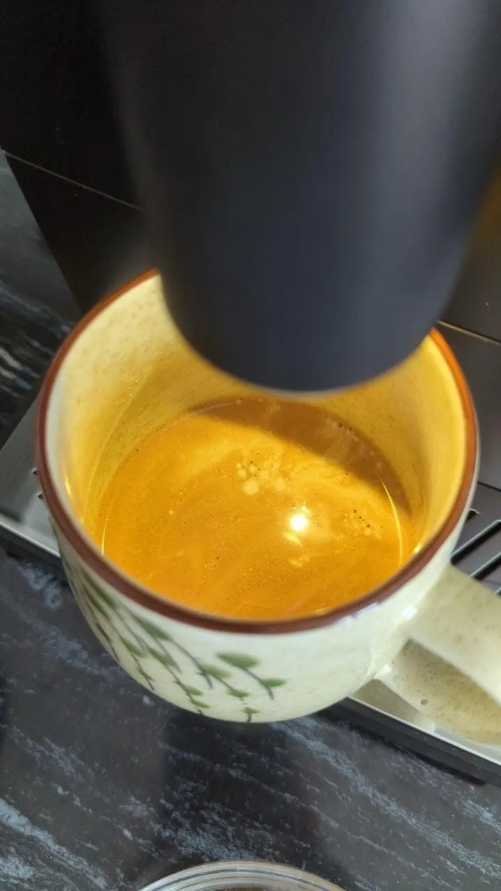 Ariete Diadema 1452 macchina caffè automatica nera