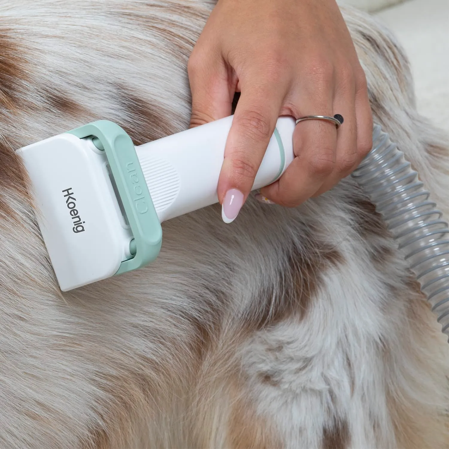 Koenig PAW400 Aspiratore Toelettatura Cani 1L 300W Bianco