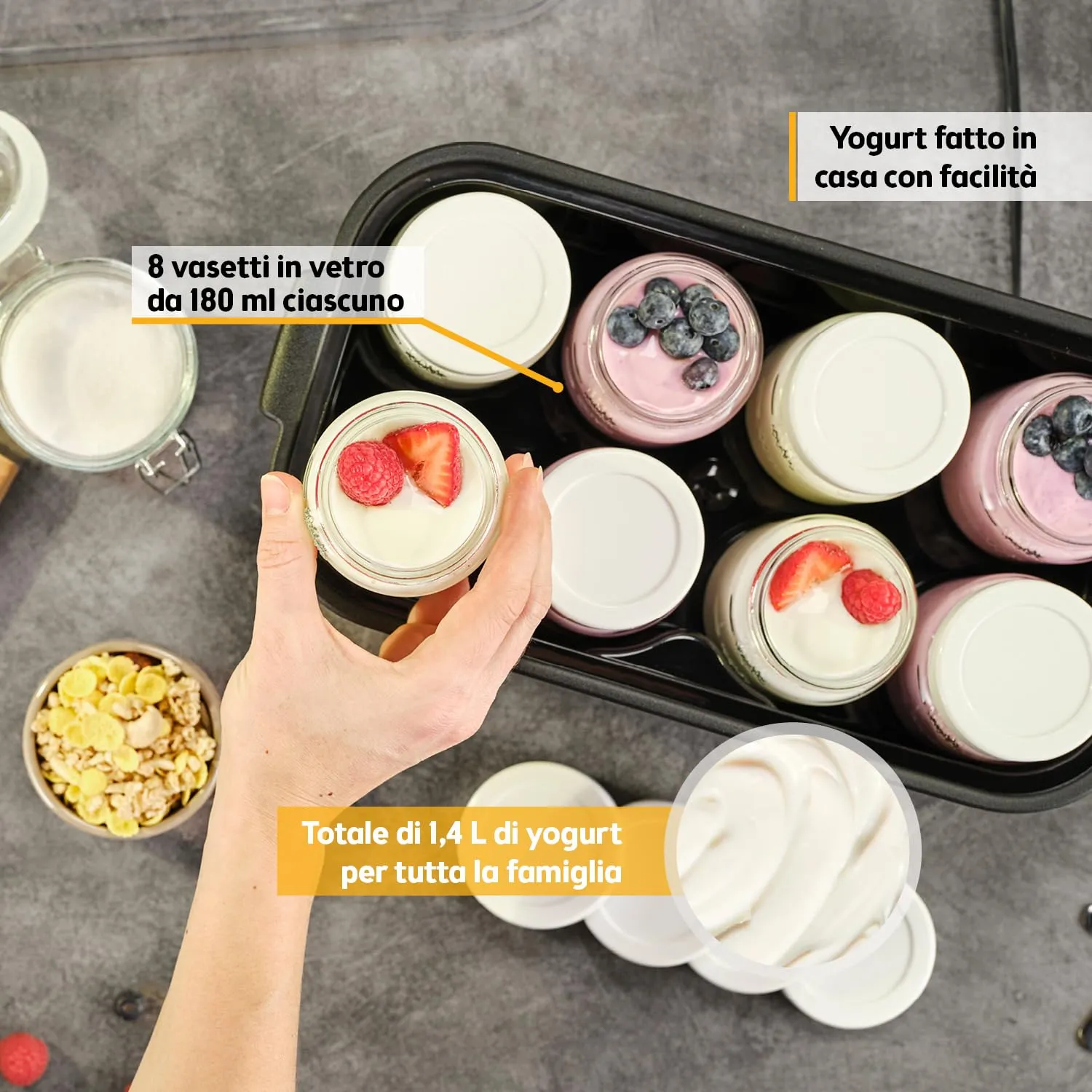 First Austria Yogurtiera Elettrica 8 Vasetti Grigio 1,4L