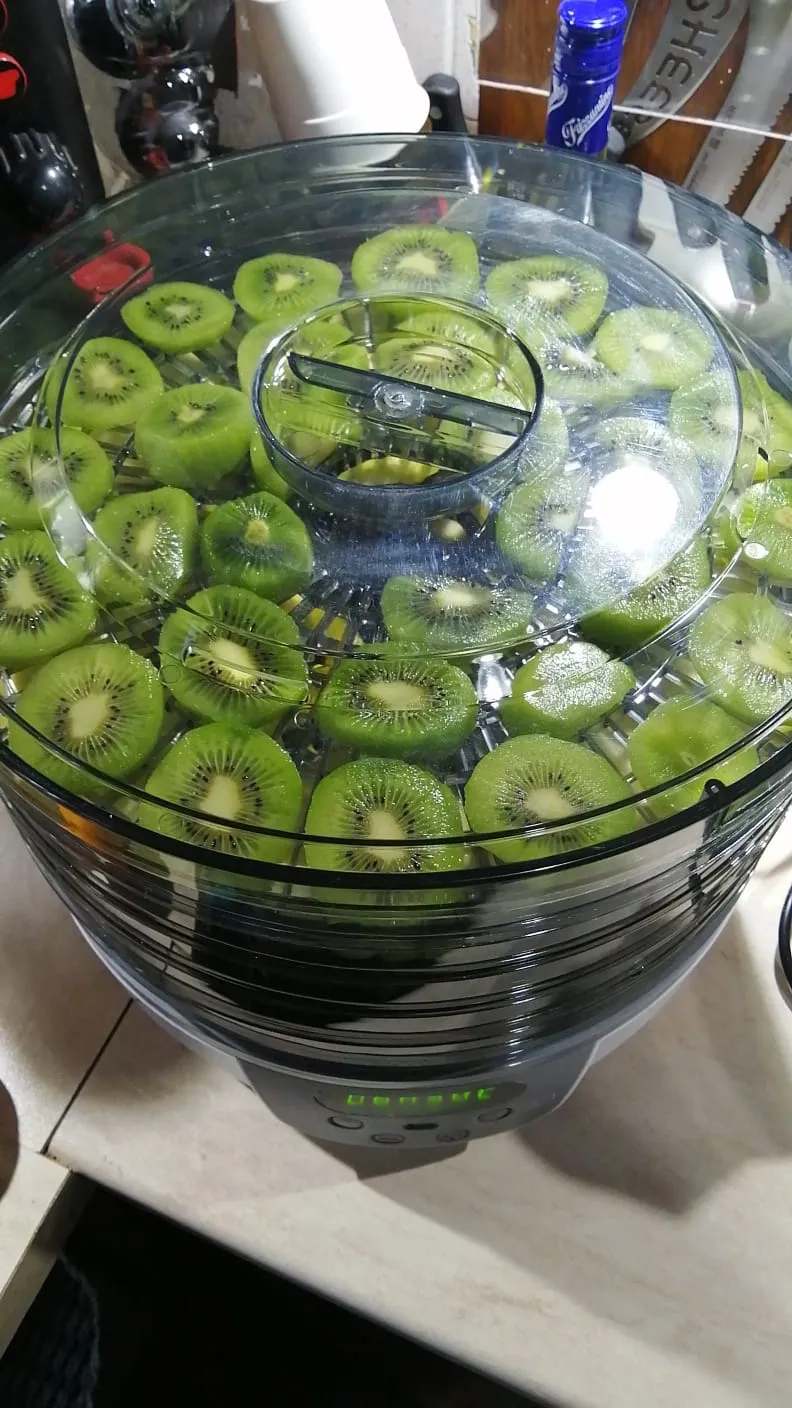 Koenig DSY700 essicatore alimenti 5 ripiani