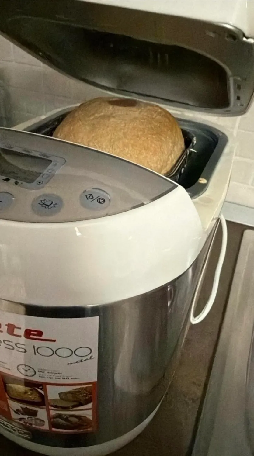 Ariete 133 Pane Express 1000 macchina pane inox 1000 g