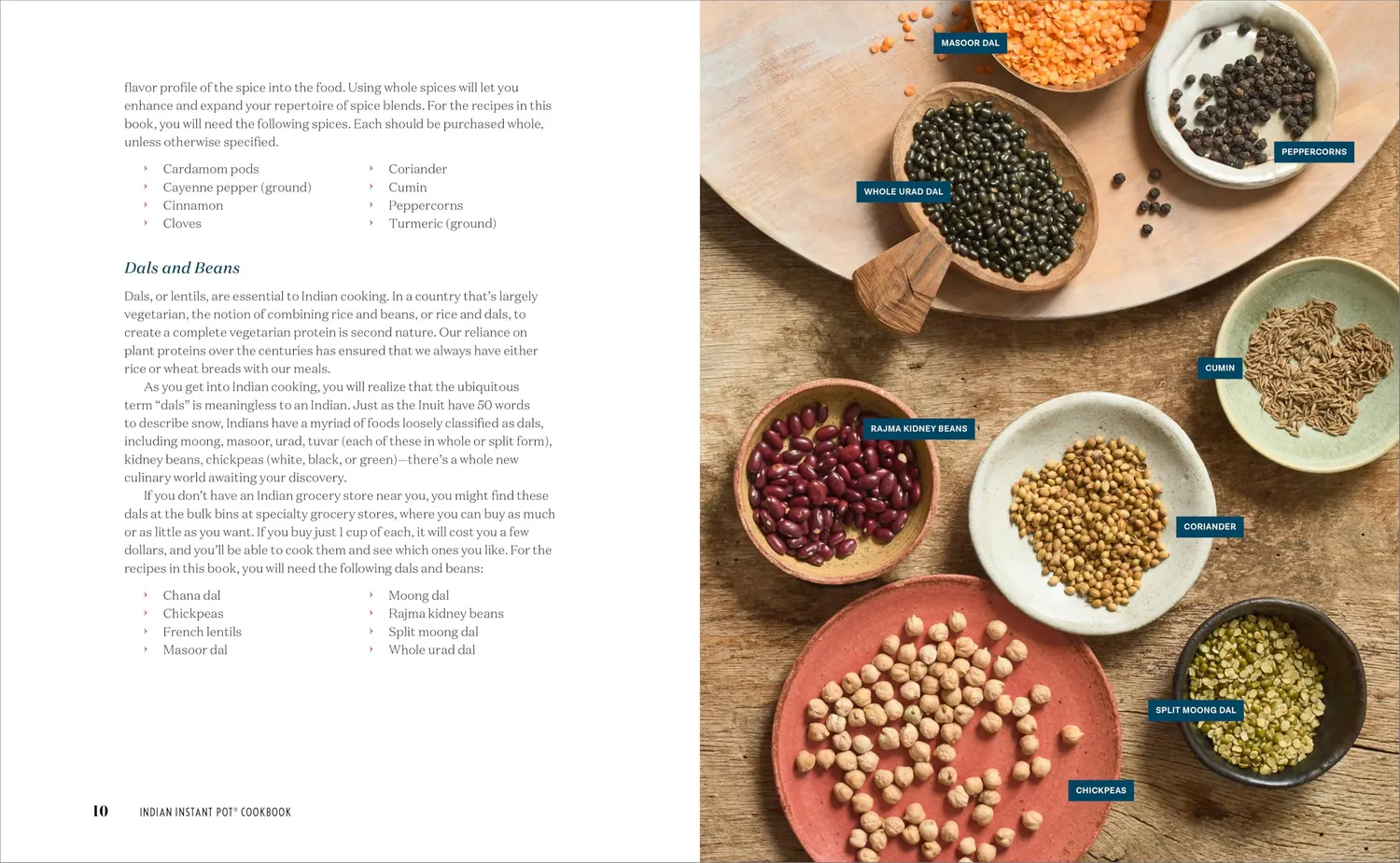 Instant Indian Instant Pot Cookbook libro ricette indiane