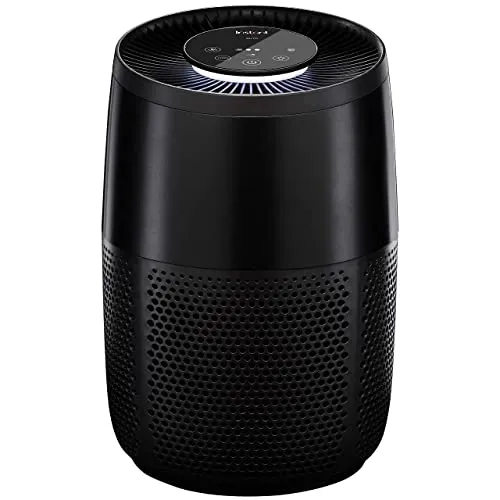 Instant AP100 purificatore aria HEPA 12 mq