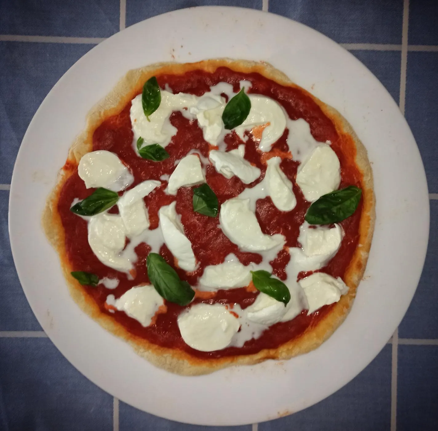 H.Koenig NAPL350 forno pizza 32 cm 400°C pietra