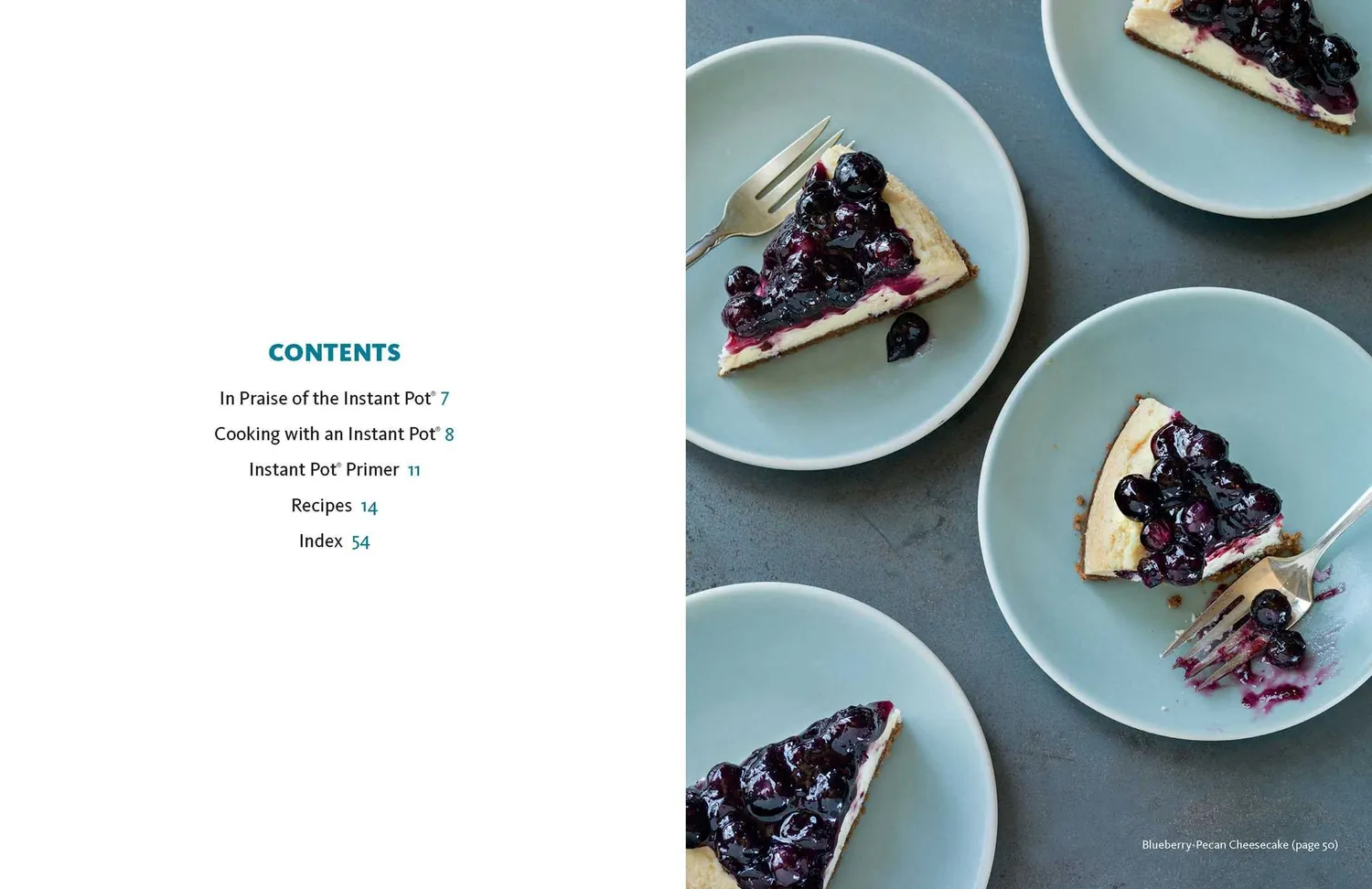 Instant Pot Cookbook ricettario pentola a pressione inglese