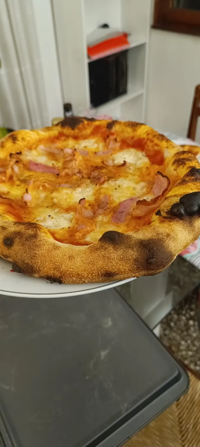 Koenig Gino440 forno pizza a gas 450° pietra 30,5cm